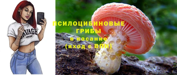 apvp Алексеевка