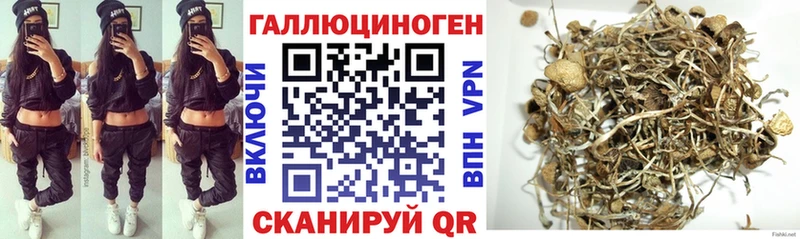 Галлюциногенные грибы Magic Shrooms наркотики Стародуб